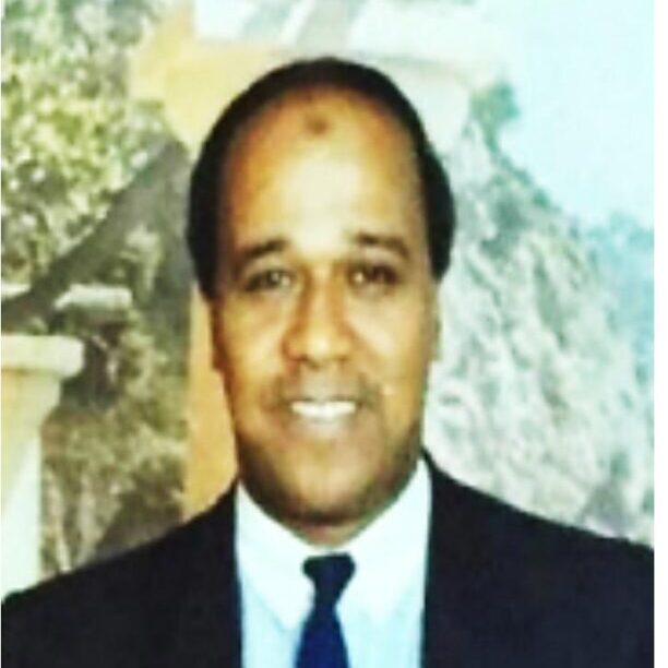عبد المجيد حسن خليل روائي نوبى