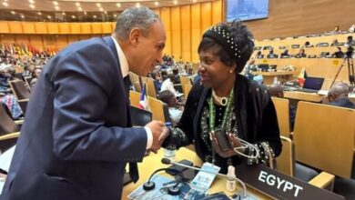 د. بدر عبد العاطي وزير الخارجية يلتقى مع "ليثا موسييمي-أوجانا" المفوضة باللجنة الإفريقية لحقوق الإنسان