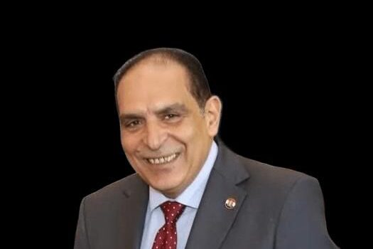 محمد العرجاوي، رئيس لجنة الجمارك