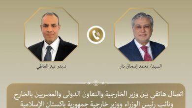وزير الخارجية ونظيره الباكستاني